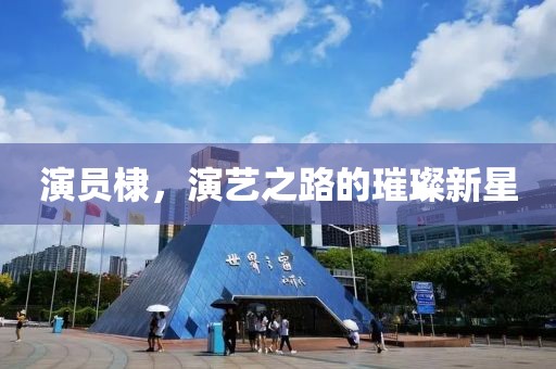 演员棣，演艺之路的璀璨新星