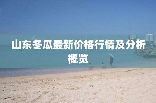 山东冬瓜最新价格行情及分析概览