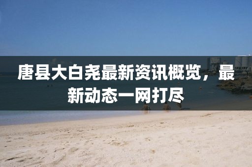 唐县大白尧最新资讯概览，最新动态一网打尽