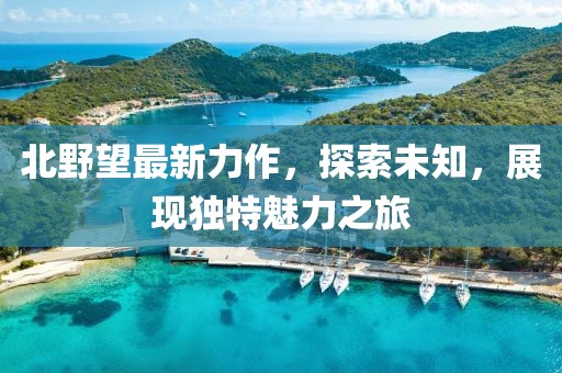 北野望最新力作，探索未知，展现独特魅力之旅