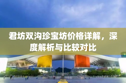 君坊双沟珍宝坊价格详解，深度解析与比较对比