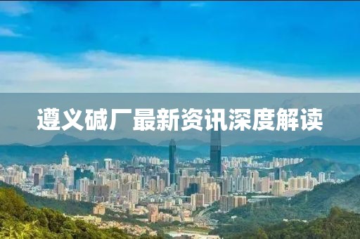 遵义碱厂最新资讯深度解读