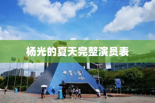 杨光的夏天完整演员表