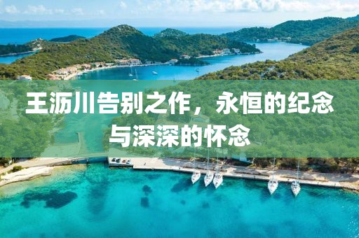 王沥川告别之作，永恒的纪念与深深的怀念