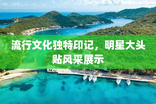 流行文化独特印记，明星大头贴风采展示