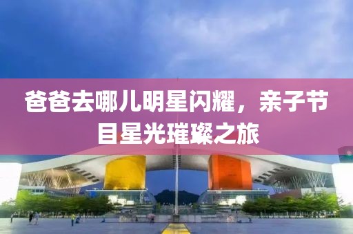 爸爸去哪儿明星闪耀，亲子节目星光璀璨之旅