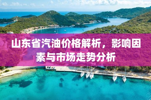 山东省汽油价格解析，影响因素与市场走势分析