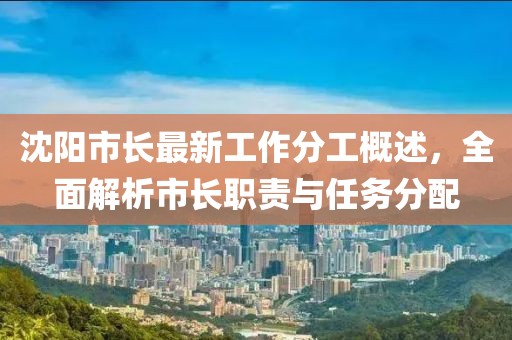 沈阳市长最新工作分工概述，全面解析市长职责与任务分配