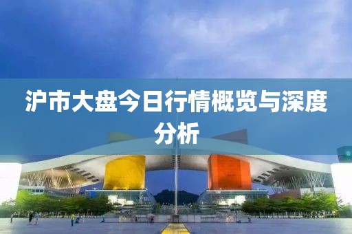 沪市大盘今日行情概览与深度分析