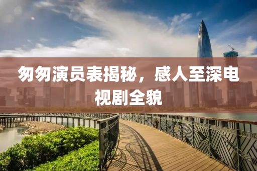匆匆演员表揭秘，感人至深电视剧全貌