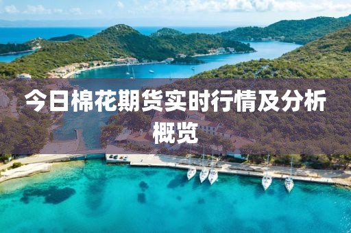 2025年1月 第15页