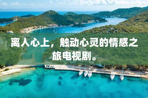 离人心上，触动心灵的情感之旅电视剧。