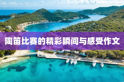 陶笛比赛的精彩瞬间与感受作文
