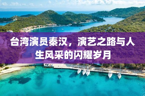 台湾演员秦汉，演艺之路与人生风采的闪耀岁月
