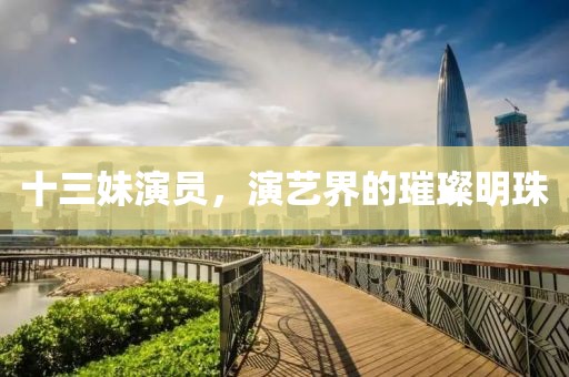 十三妹演员，演艺界的璀璨明珠