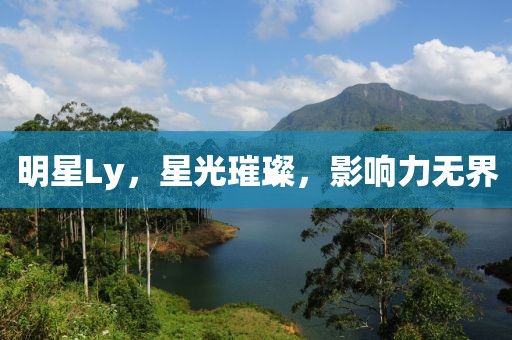 明星Ly，星光璀璨，影响力无界
