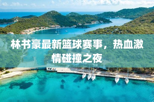 林书豪最新篮球赛事，热血激情碰撞之夜