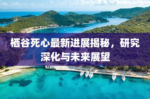 栖谷死心最新进展揭秘，研究深化与未来展望