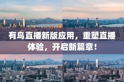 有鸟直播新版应用，重塑直播体验，开启新篇章！