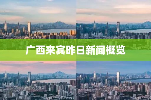 广西来宾昨日新闻概览