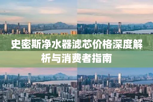 史密斯净水器滤芯价格深度解析与消费者指南
