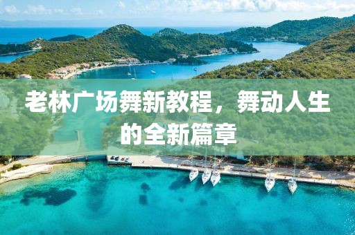 老林广场舞新教程，舞动人生的全新篇章