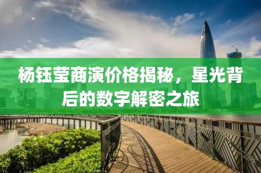 杨钰莹商演价格揭秘，星光背后的数字解密之旅