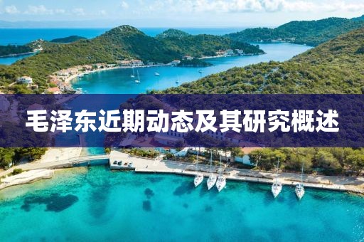 毛泽东近期动态及其研究概述