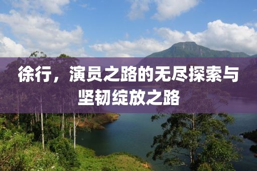 徐行，演员之路的无尽探索与坚韧绽放之路