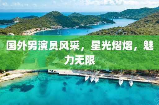 久夏青 第17页