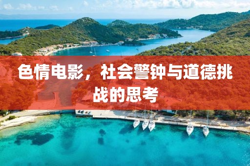 色情电影，社会警钟与道德挑战的思考