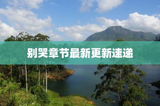 那一抹阳光 第14页