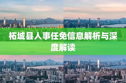 柘城县人事任免信息解析与深度解读