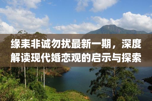 缘耒非诚勿扰最新一期，深度解读现代婚恋观的启示与探索