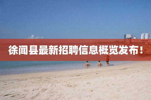 徐闻县最新招聘信息概览发布！