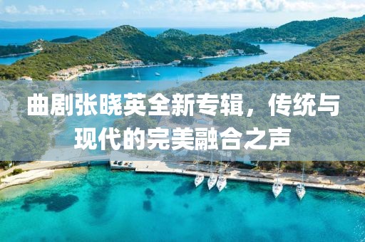 曲剧张晓英全新专辑，传统与现代的完美融合之声