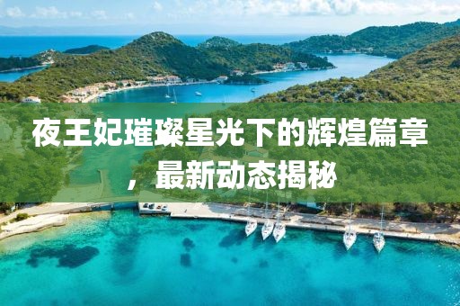 夜王妃璀璨星光下的辉煌篇章，最新动态揭秘