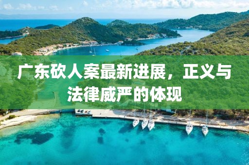 广东砍人案最新进展，正义与法律威严的体现
