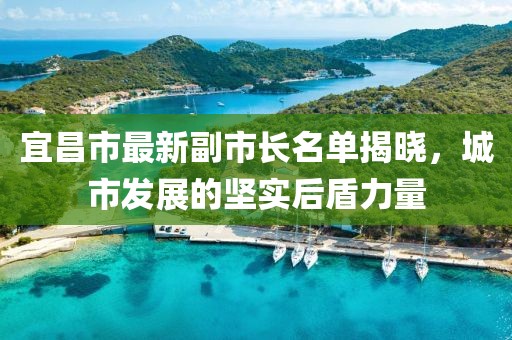 宜昌市最新副市长名单揭晓，城市发展的坚实后盾力量
