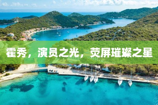 霍秀，演员之光，荧屏璀璨之星
