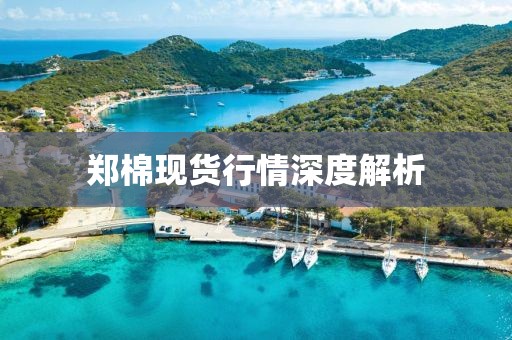 郑棉现货行情深度解析