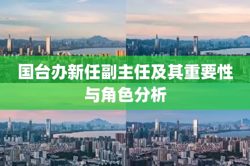 国台办新任副主任及其重要性与角色分析