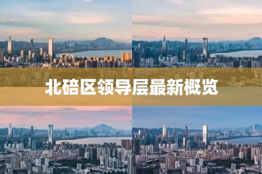 北碚区领导层最新概览