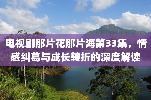 电视剧那片花那片海第33集，情感纠葛与成长转折的深度解读
