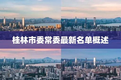 桂林市委常委最新名单概述