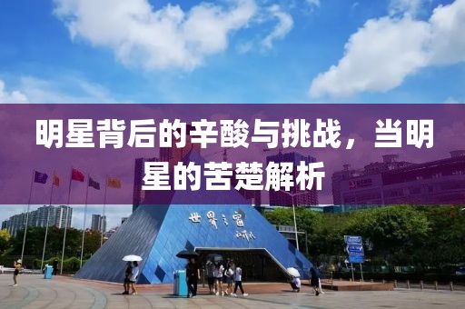 明星背后的辛酸与挑战，当明星的苦楚解析