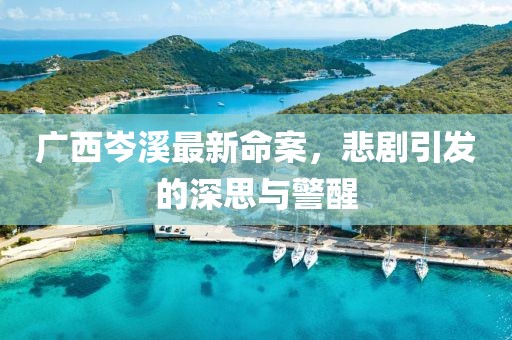 广西岑溪最新命案，悲剧引发的深思与警醒
