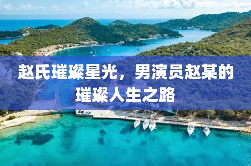 赵氏璀璨星光，男演员赵某的璀璨人生之路