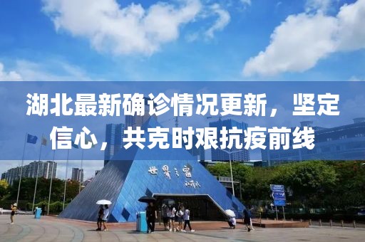 湖北最新确诊情况更新，坚定信心，共克时艰抗疫前线