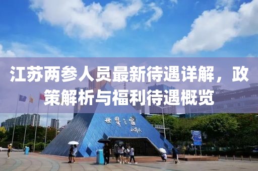 江苏两参人员最新待遇详解，政策解析与福利待遇概览